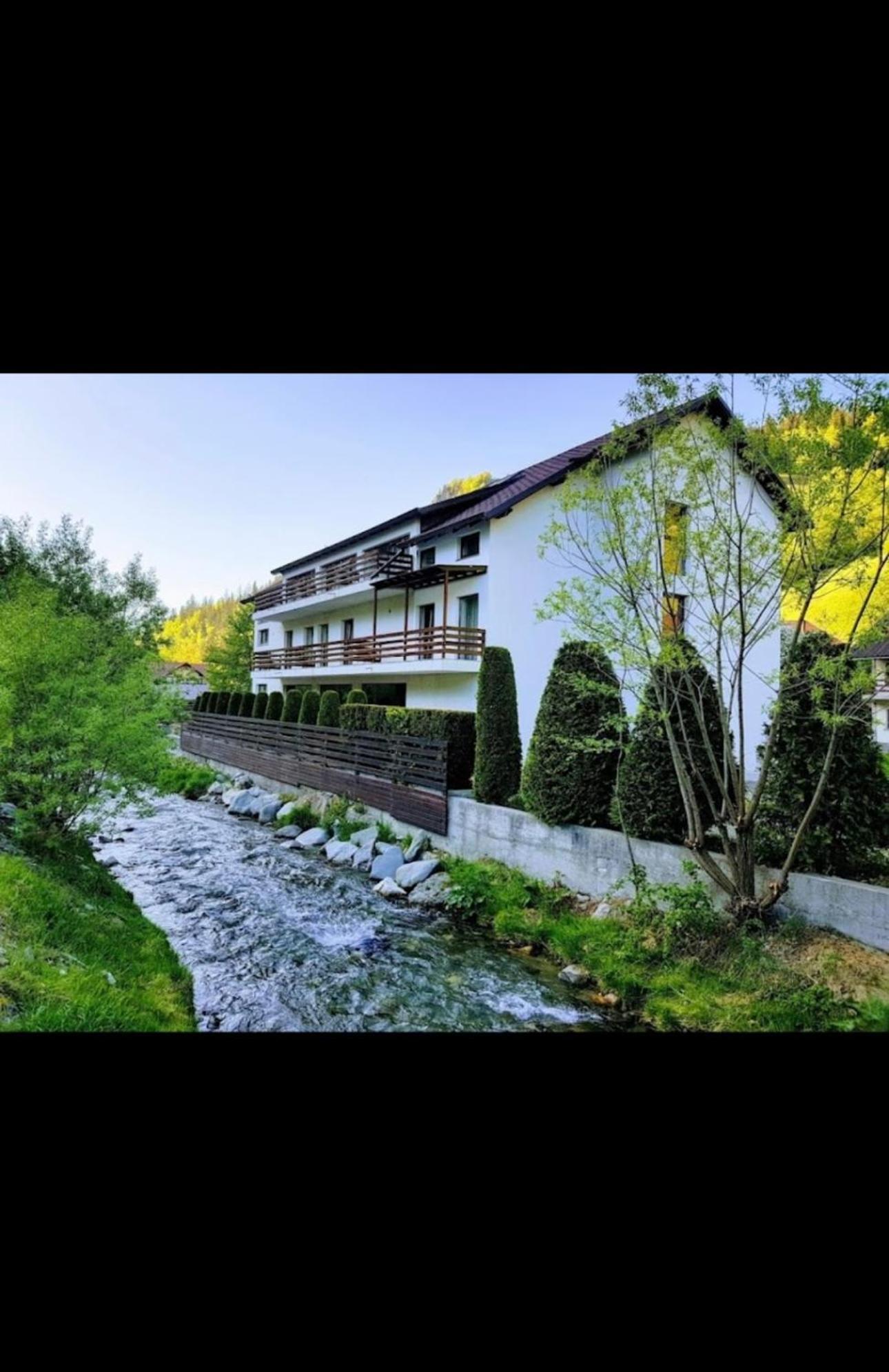 House Of River Moeciu De Sus Εξωτερικό φωτογραφία